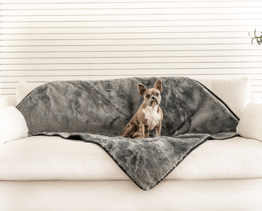 PupProtector™ Summer Short Fur Waterproof Throw Blanket - Charcoal Grey