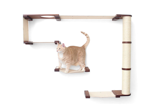 The Climb Condo - Cat Wall Climbing System