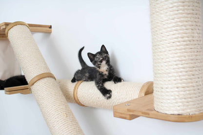 The Crossroads - Cat Wall Scratcher - Tree with Ramp