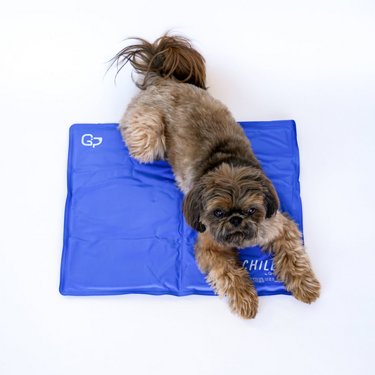 Chillz Gel Mat – XL, Blue | Non-Toxic Pressure-Activated Pet Cooling Pad, No Electricity or Refrigeration Needed