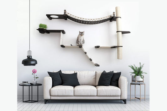 The Expedition - Cat Jungle Gym Wall System