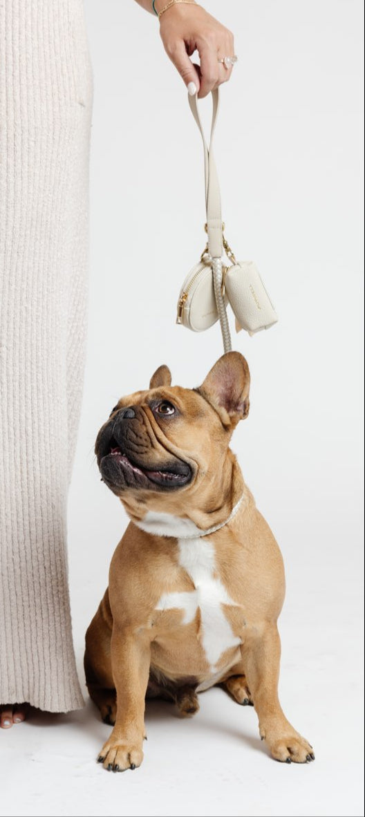 City Walk Kit – 3-Piece Dog Walking Set (Leash, Waste Bag Holder & Treat Pouch) | Pupwell