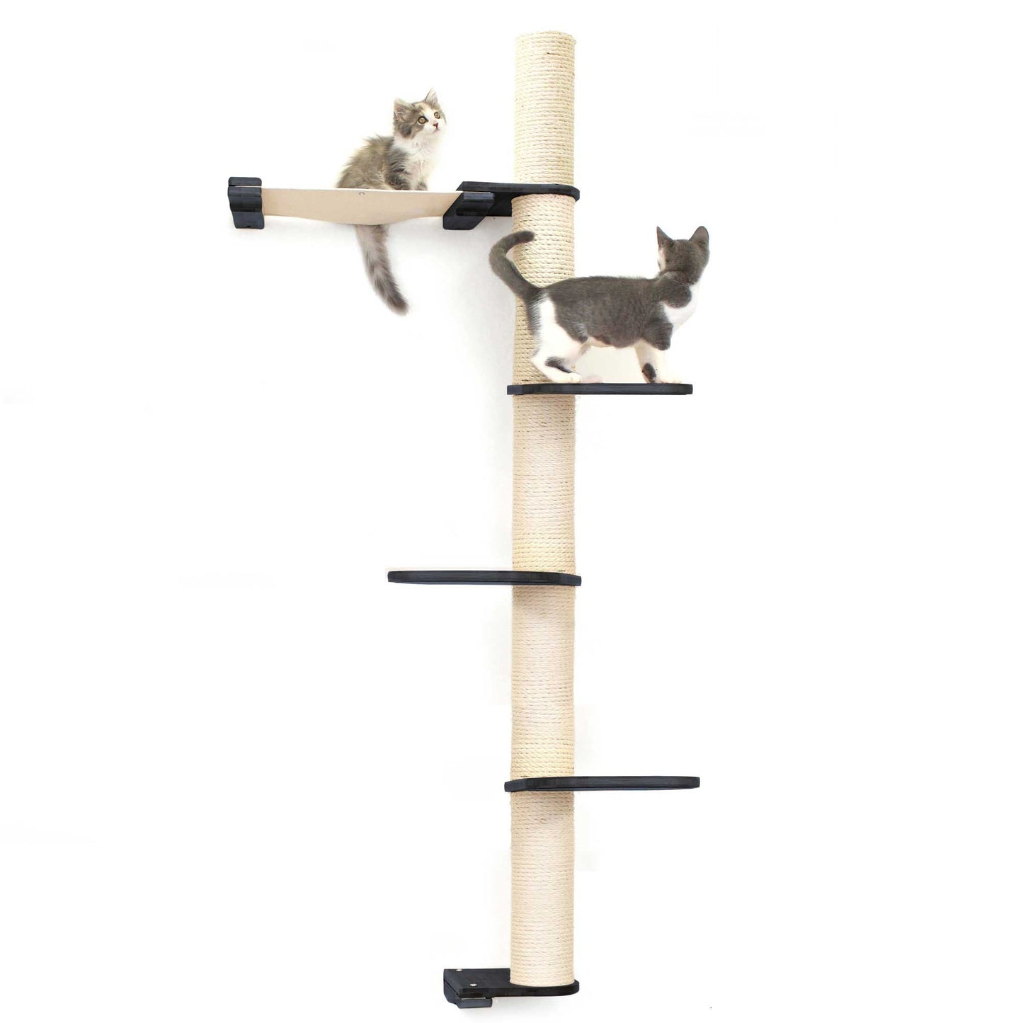 The Crow's Nest - A Wall Cat Scratcher with Hammock