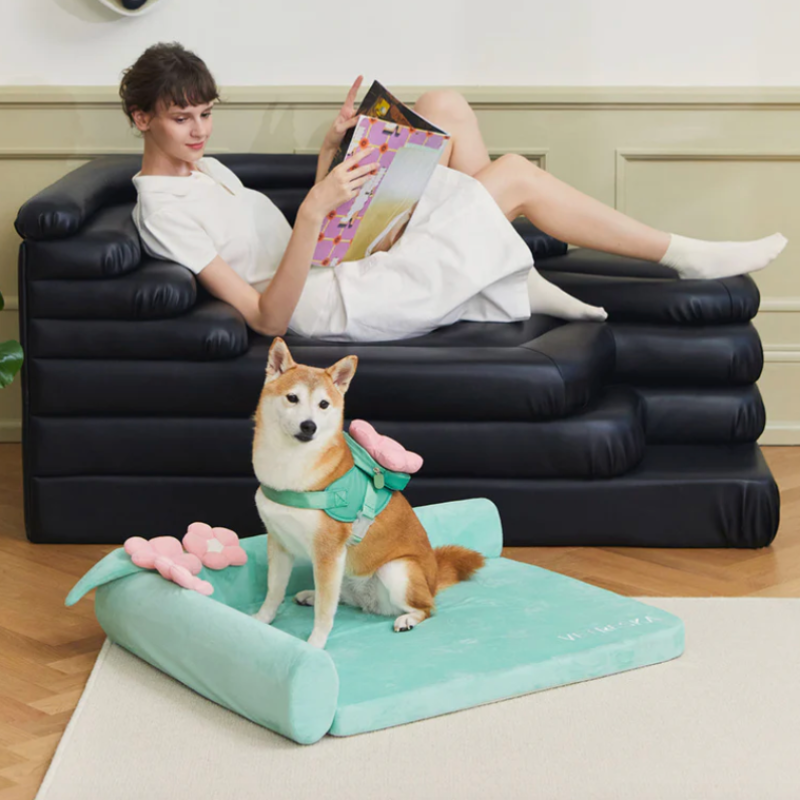 Flora Pet Harness & Backpack 3-in-1 Set by Vetreska – Flower-Shaped Backpack with Matching Collar & Leash (Size L)