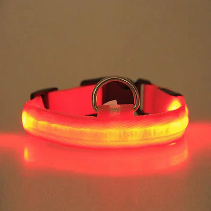 GlowGuard LED Light-Up Pet Safety Collar