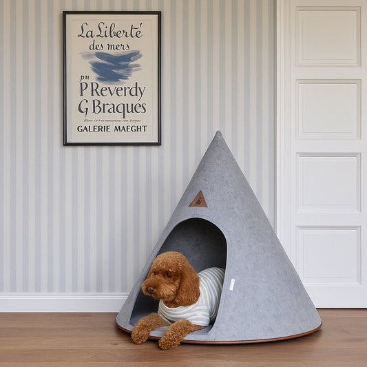 Nooee Pet Cave Molly (XL) – Gray Modern Cone-Shaped Pet Bed with Machine-Washable Cushion, Portable Roll-Up Design with Travel Bag, Fits Pets Up to 35 lbs, 35”H x 32”L x 32”D