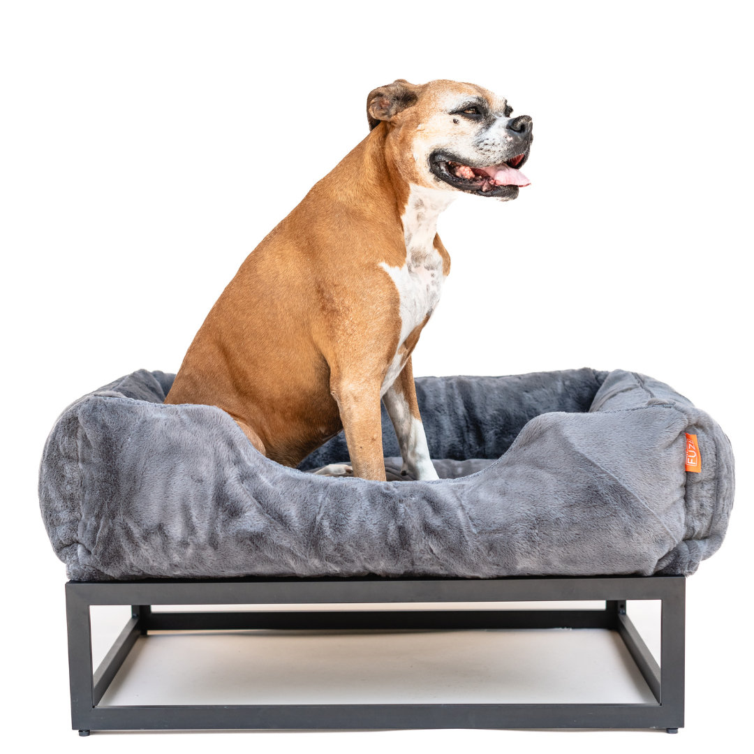 FÜZI Elevated Dog Bed – Dark Grey Bolster & Black Metal Base