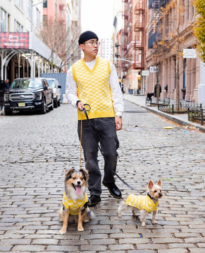 BP x BH Check Dog Sweater Vest – Recycled Knit, Streetwear-Inspired Pet Outfit (XS–XL)