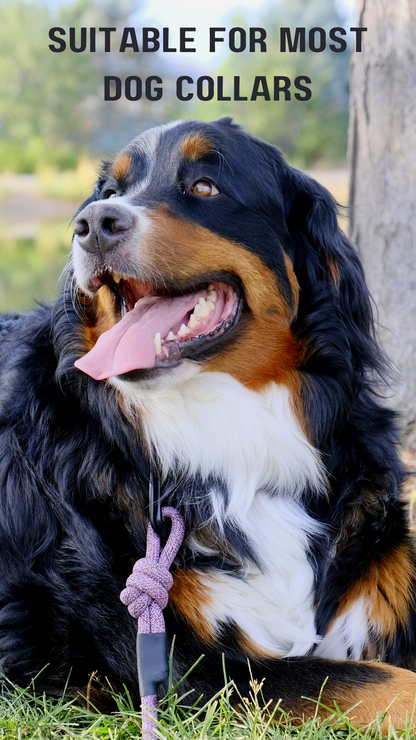 Adventure Style Mountain Blush Nylon Climbing Rope Dog Leash – Durable Design with Locking Aluminum Carabiner