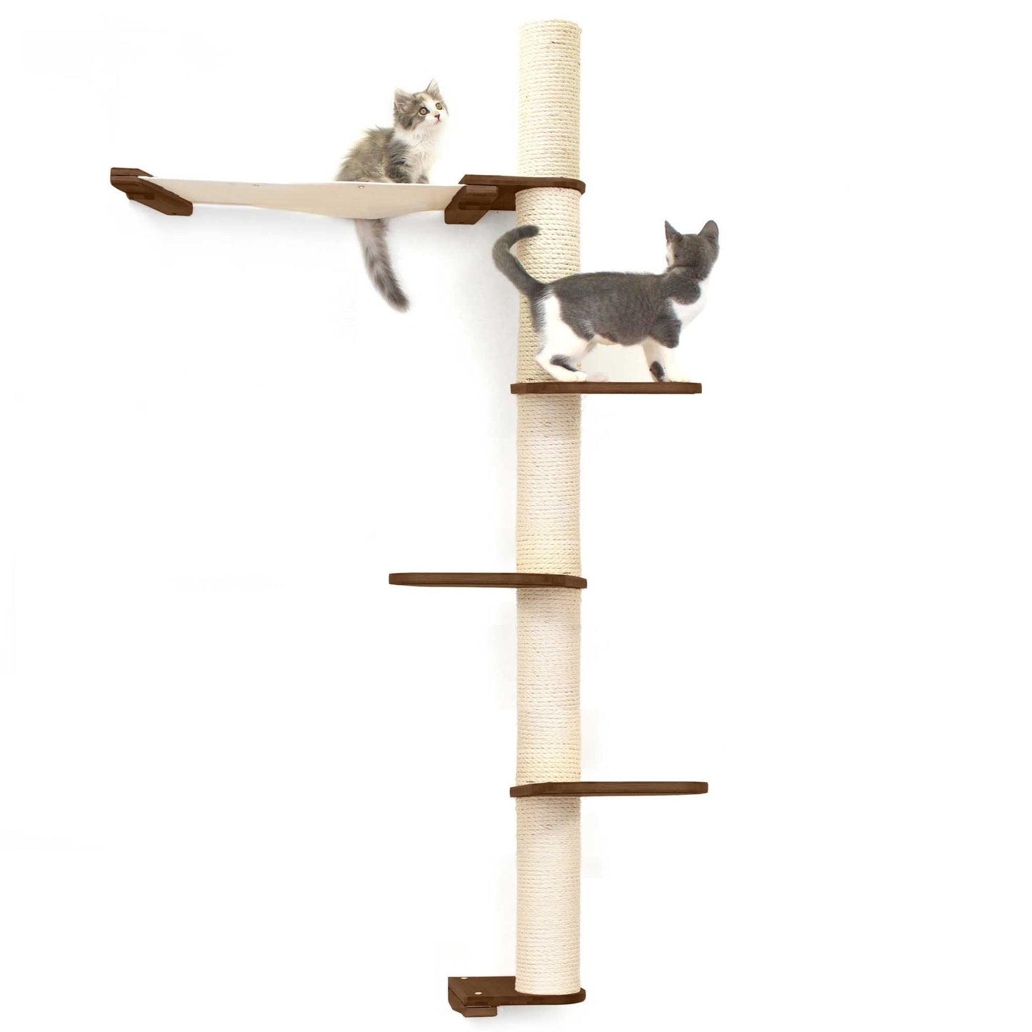 The Crow's Nest - A Wall Cat Scratcher with Hammock