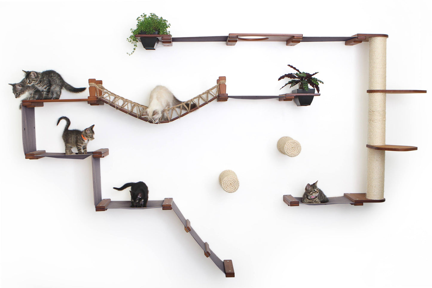 The Juggernaut - Indoor Cat Playground for Wall