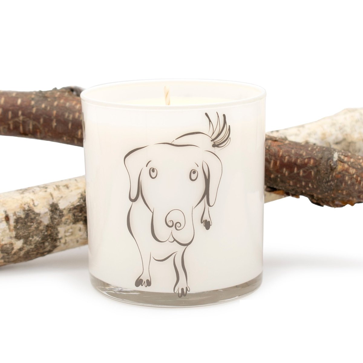 Large Dog Jar Candle – Big Stick Scent | 12oz Odor-Neutralizing Soy Wax Candle for Pet Homes