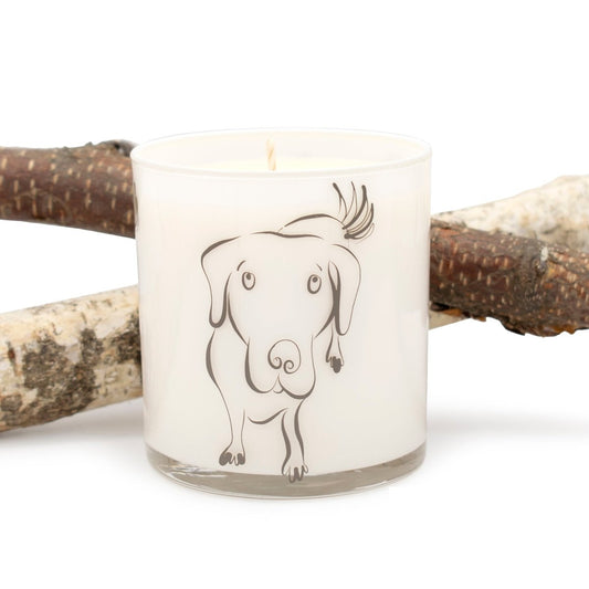 Large Dog Jar Candle – Big Stick Scent | 12oz Odor-Neutralizing Soy Wax Candle for Pet Homes