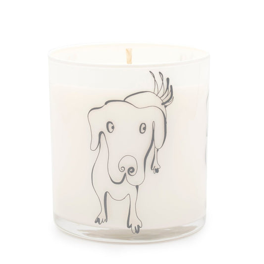 Large Dog Jar Candle – Odor-Neutralizing “Wet Dog” Scent | 12oz Soy Wax Blend with 80-Hour Burn