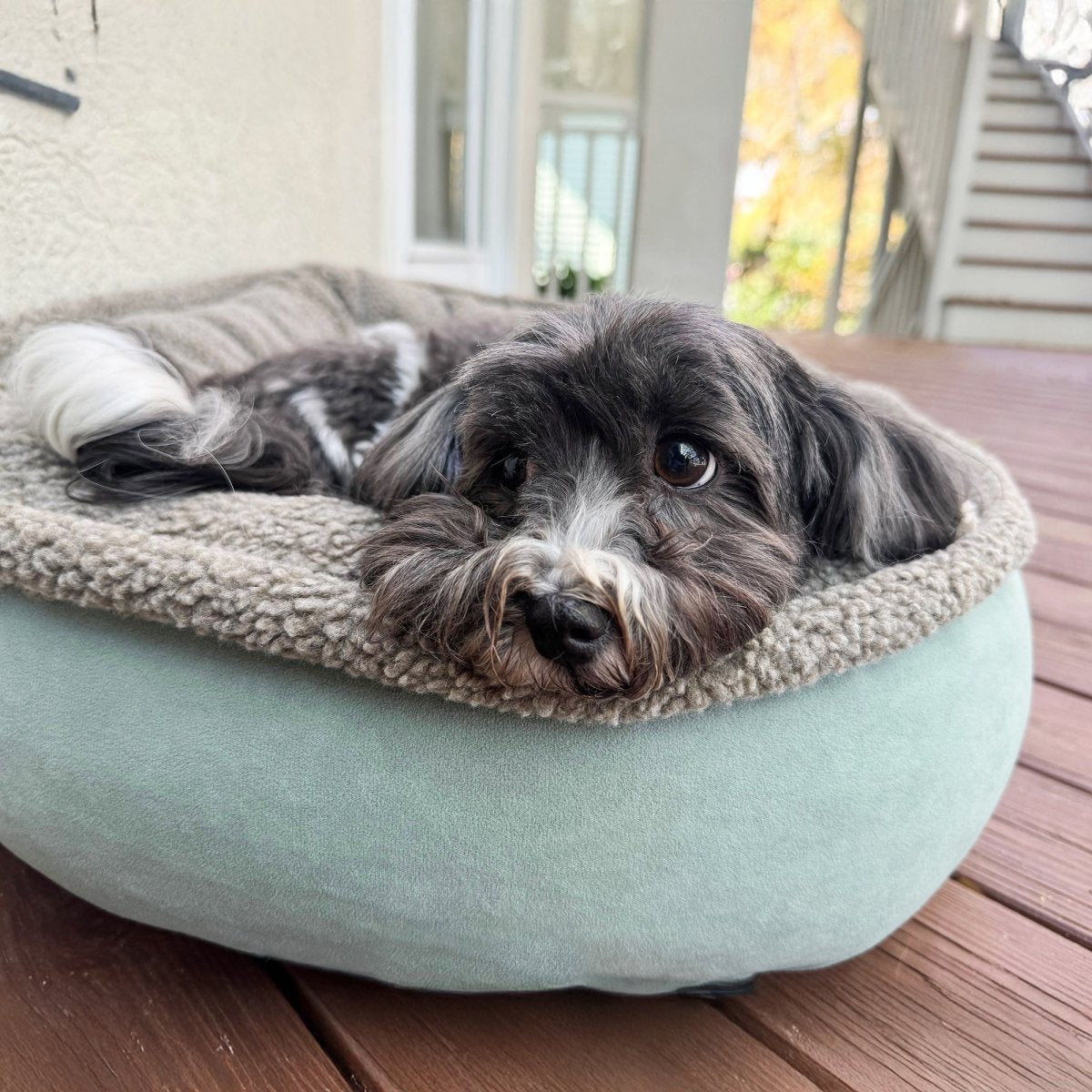 Microfiber Comfy Cup | Bolstered Dog Bed with Berber Fleece Top & Washable Cover