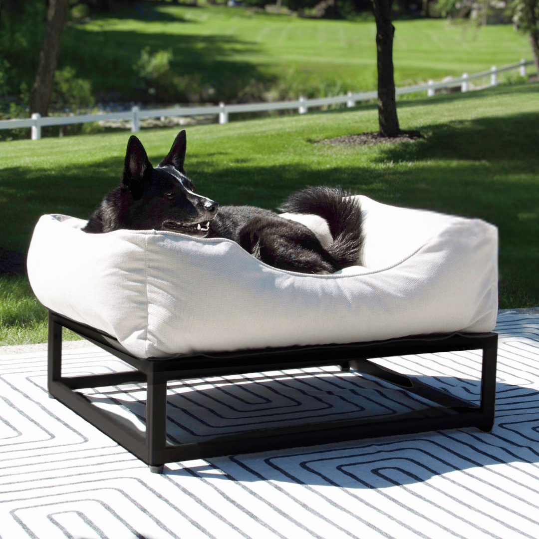 The FÜZI Elevated Dog Bed – Oat Performance Fabric on Black Metal Base (S/M/L/XL)