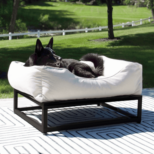 The FÜZI Elevated Dog Bed – Oat Performance Fabric on Black Metal Base (S/M/L/XL)