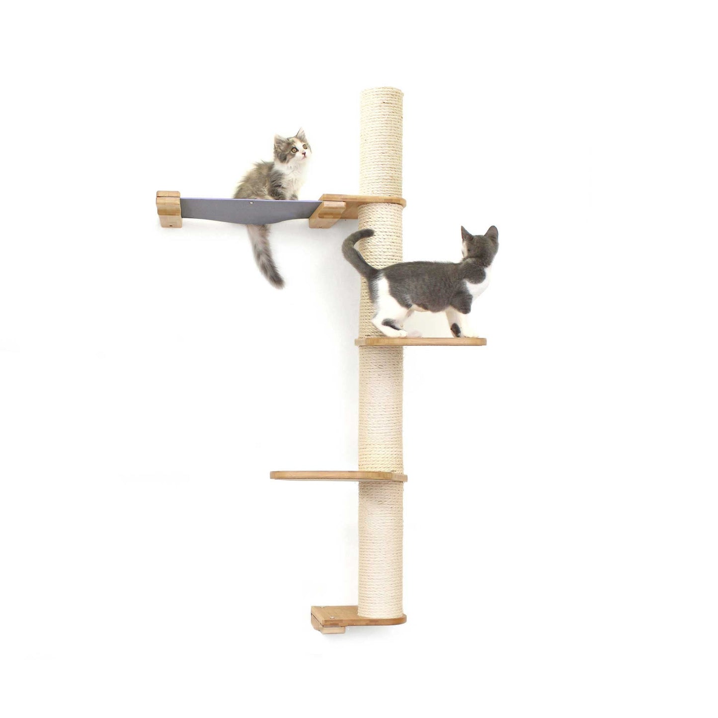 The Crow's Nest - A Wall Cat Scratcher with Hammock