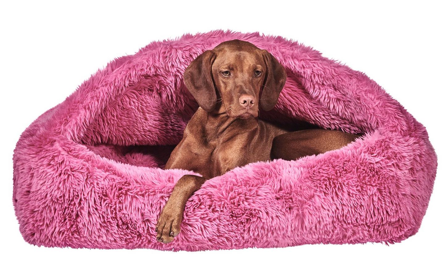 Canopy Cozy Dog Bed | Plush Covered Bed for Calm & Comfort