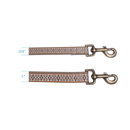 Pendleton Adventure Leash | Recycled Polyester Dual-Snap Dog Lead with D-Ring — Made in USA