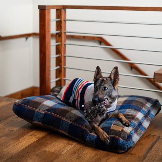 Pendleton Berber Pet Napper | Cozy Woven Berber Dog Bed with Recycled Fill or Memory Foam & Washable Cover