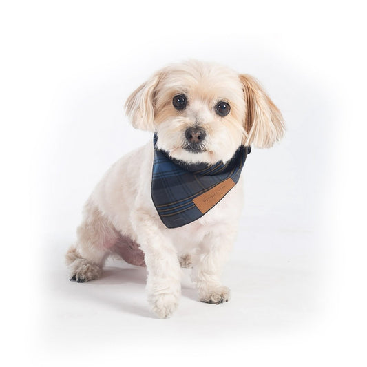 Pendleton Crescent Lake Plaid Dog Bandana | 100% Cotton Tie-On Bandana — Machine Washable