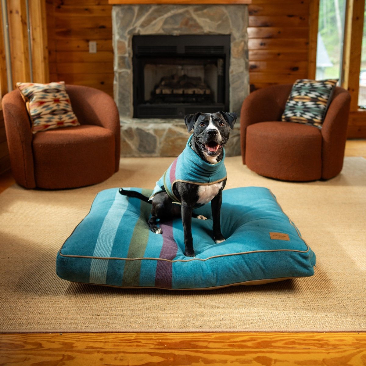 Pendleton Dog Fleece Vest | Warm Non-Pill Polar Fleece Pet Vest with Leash Slot