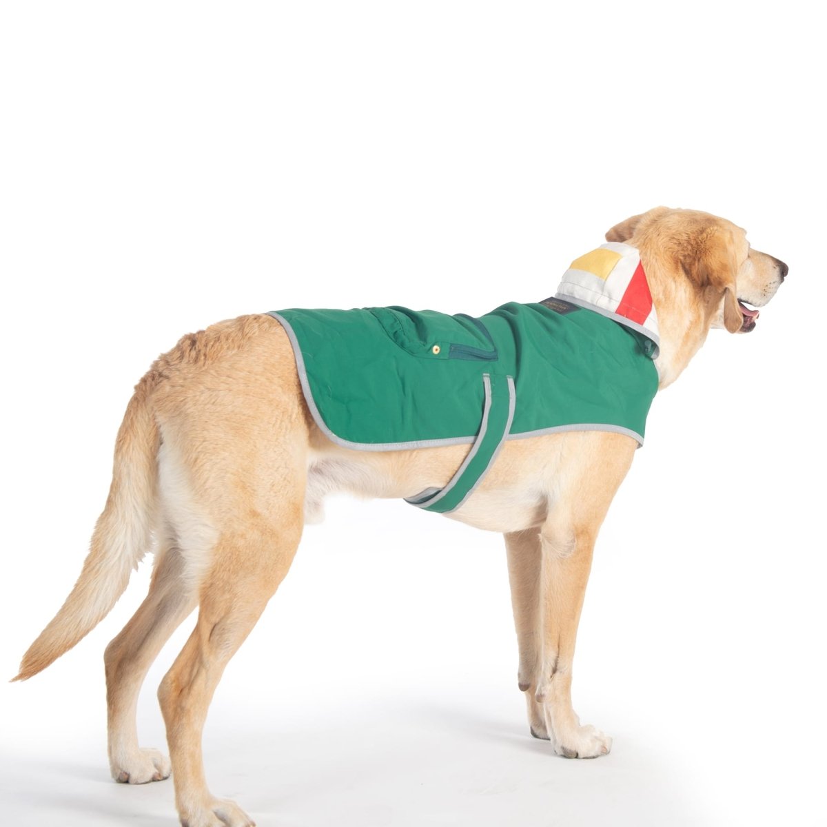 Pendleton Glacier National Park Dog Raincoat | Waterproof Adjustable Jacket with Reflective Trim & Leash Access