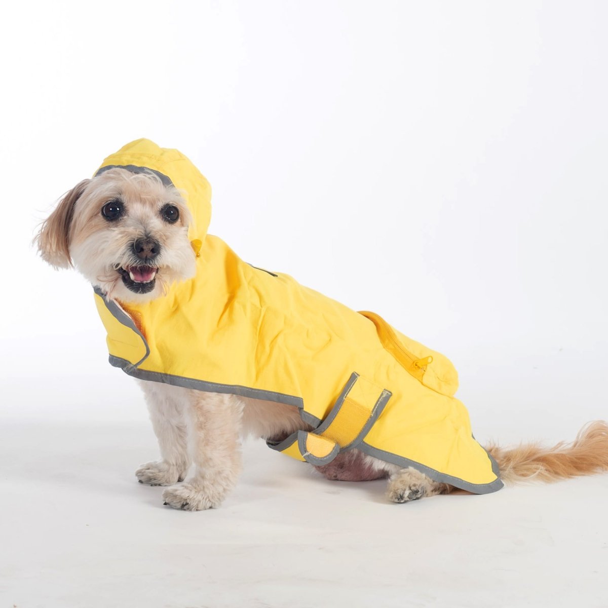 Pendleton Glacier National Park Dog Raincoat | Waterproof Adjustable Jacket with Reflective Trim & Leash Access