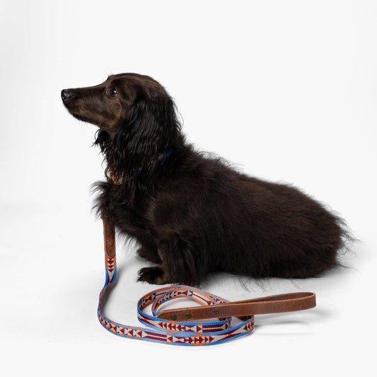 Pendleton Heritage Leash | Jacquard Webbing Lead with Water Buffalo Leather Handle & Antique Brass Hardware