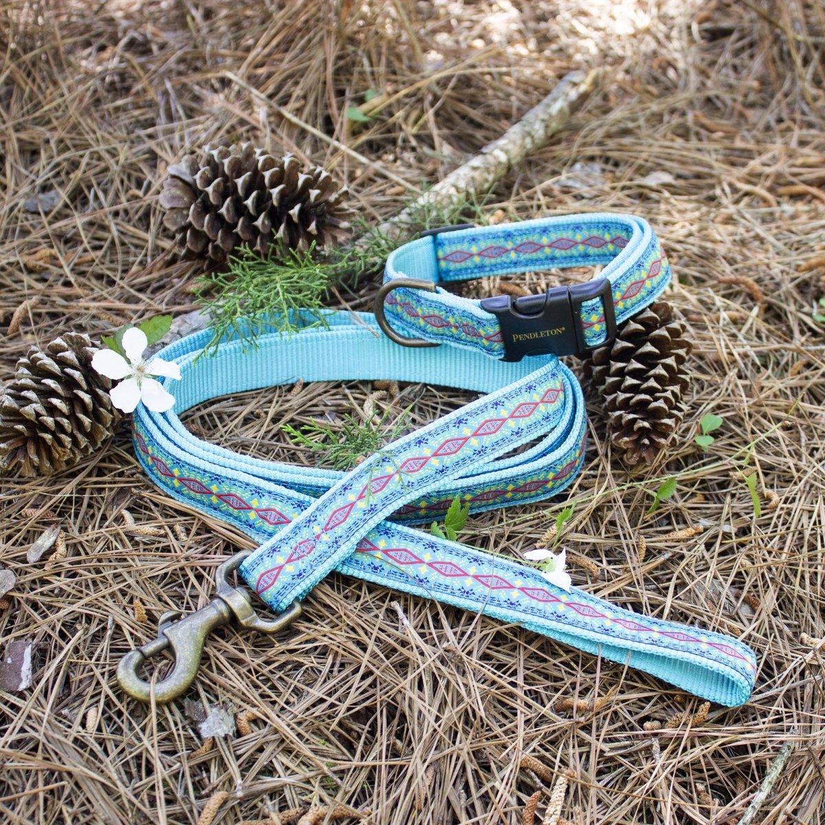 Pendleton Hiker Collar | Durable Nylon Dog Collar with Signature Pendleton Patterns