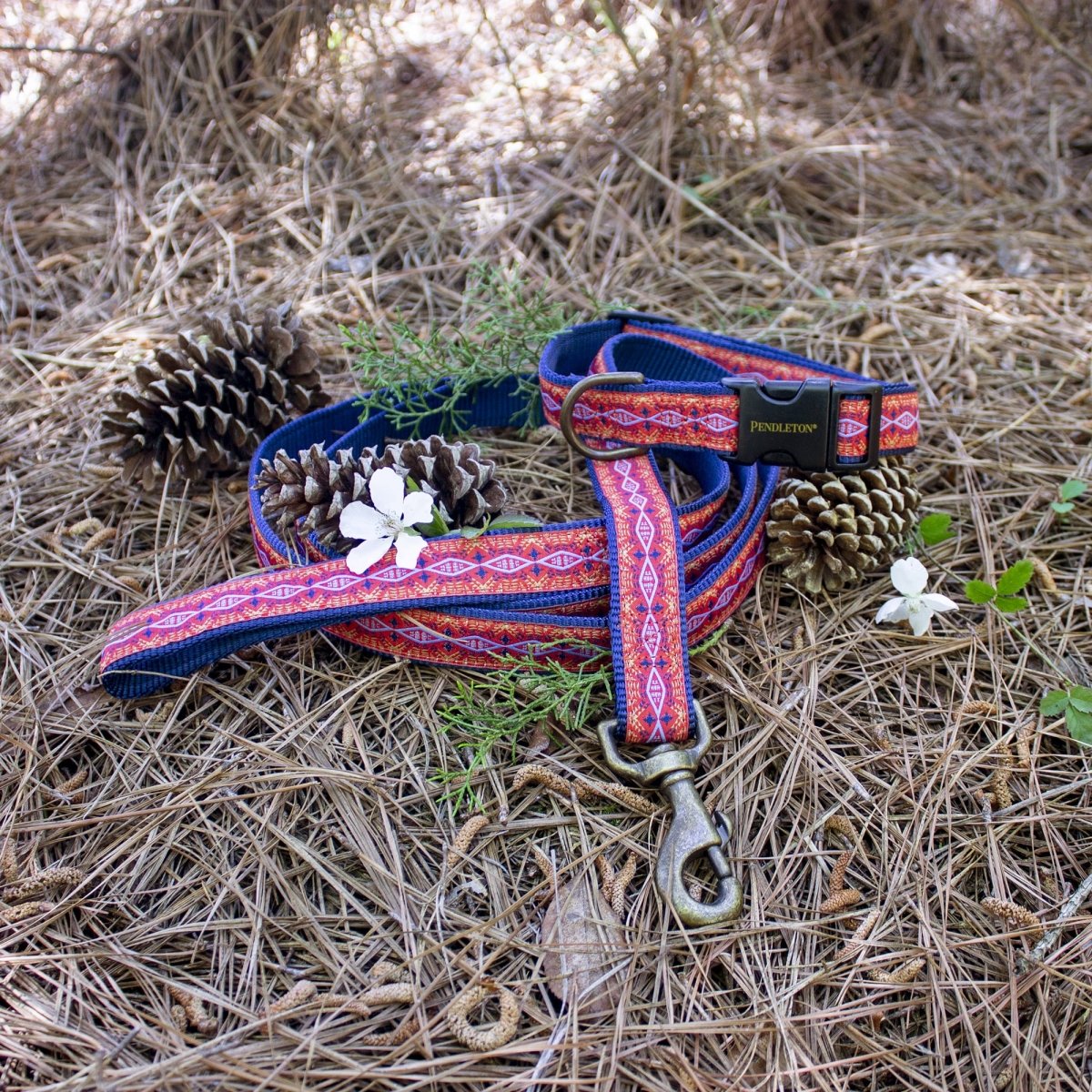 Pendleton Hiker Collar | Durable Nylon Dog Collar with Signature Pendleton Patterns