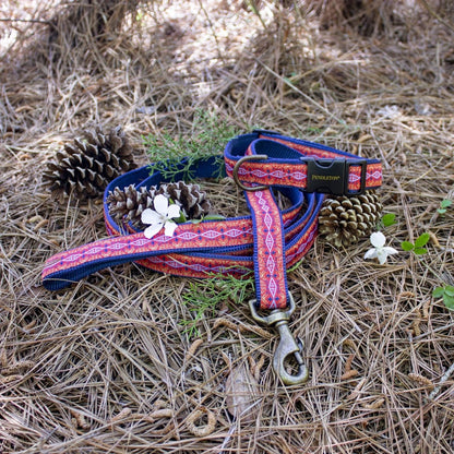 Pendleton Hiker Collar | Durable Nylon Dog Collar with Signature Pendleton Patterns