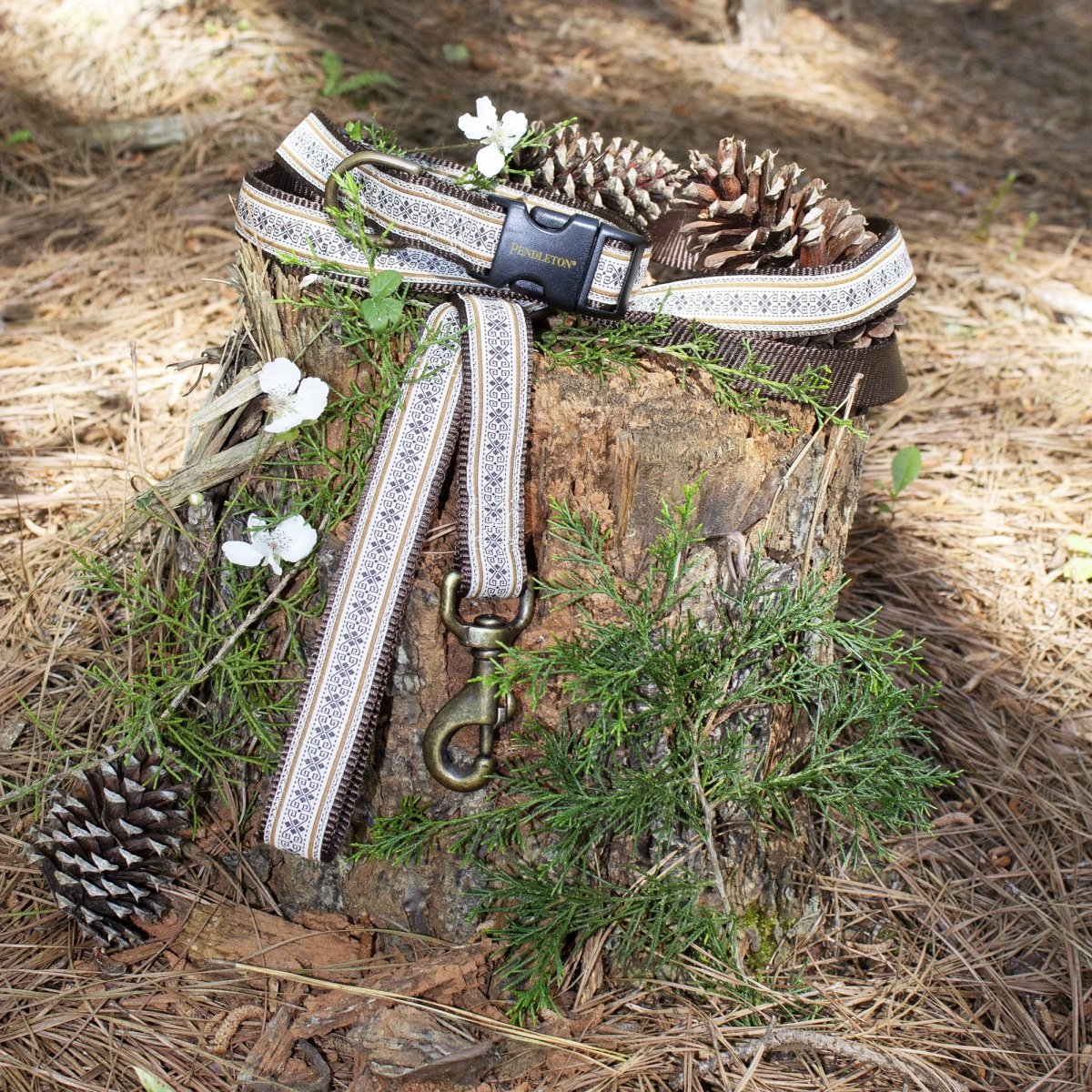 Pendleton Hiker Collar | Durable Nylon Dog Collar with Signature Pendleton Patterns