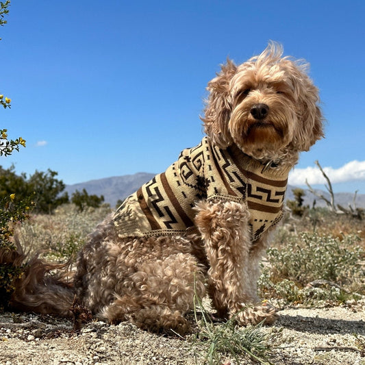 Pendleton Knitted Dog Sweater | Iconic Westerley Pullover for Dogs (Big LeBARKski Collection)