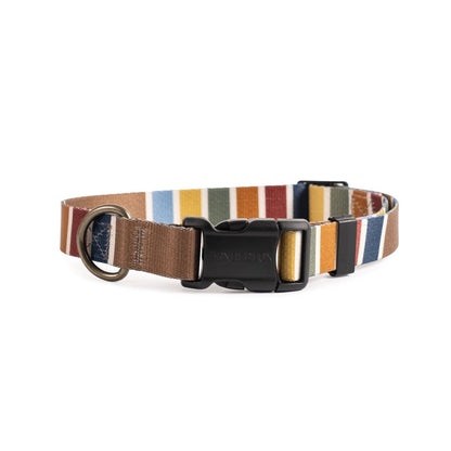 Pendleton National Park Adventure Collar | Adjustable Recycled-Webbing Dog Collar (Made in USA)