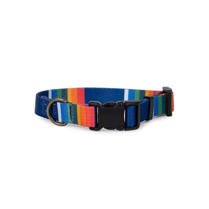 Pendleton National Park Adventure Collar | Adjustable Recycled-Webbing Dog Collar (Made in USA)