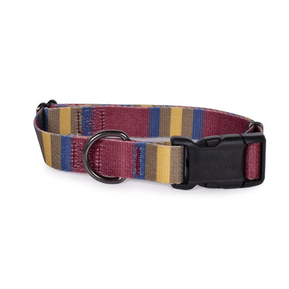 Pendleton National Park Adventure Collar | Adjustable Recycled-Webbing Dog Collar (Made in USA)