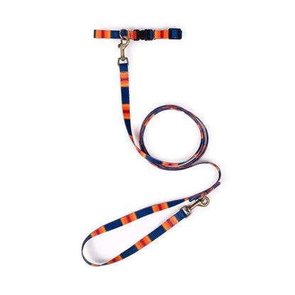 Pendleton National Park Adventure Collar | Adjustable Recycled-Webbing Dog Collar (Made in USA)