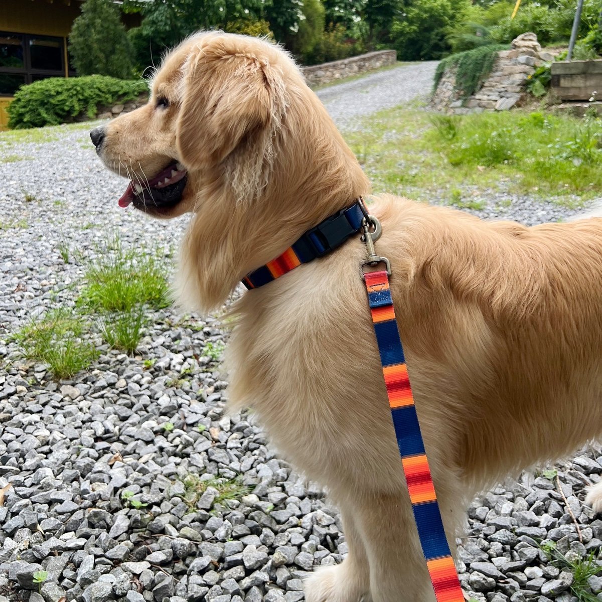 Pendleton National Park Adventure Collar | Adjustable Recycled-Webbing Dog Collar (Made in USA)