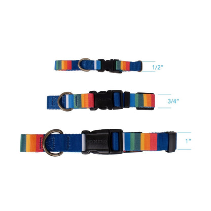 Pendleton National Park Adventure Collar | Adjustable Recycled-Webbing Dog Collar (Made in USA)