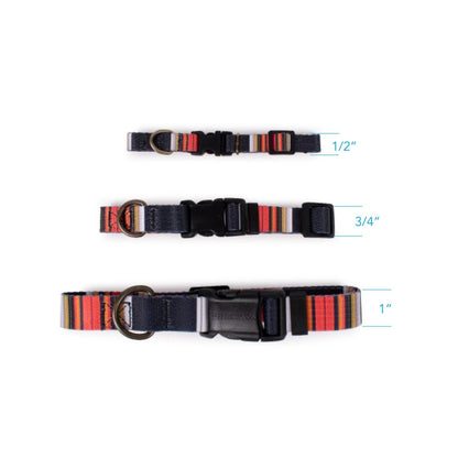 Pendleton National Park Adventure Collar | Adjustable Recycled-Webbing Dog Collar (Made in USA)