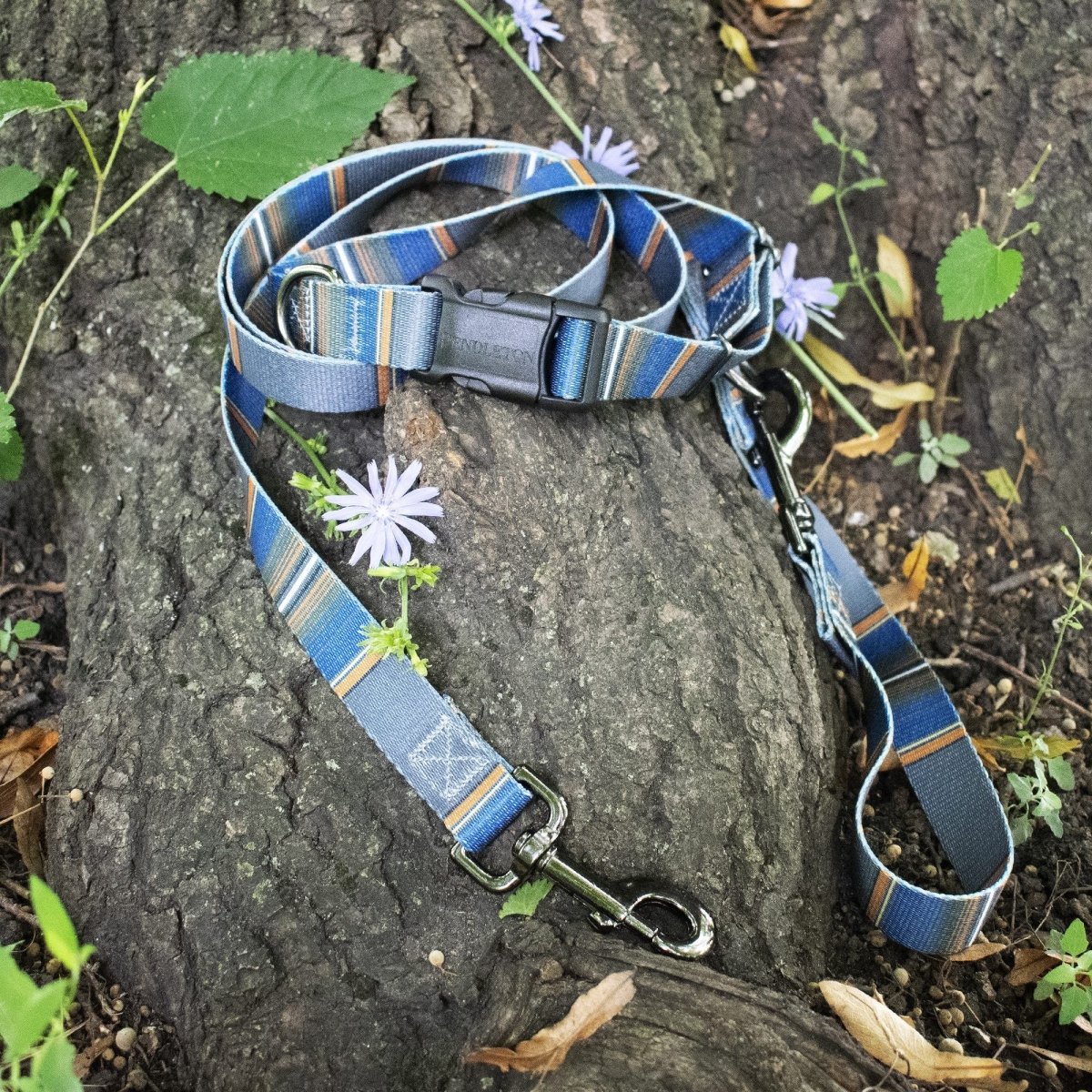 Pendleton National Park Adventure Collar | Adjustable Recycled-Webbing Dog Collar (Made in USA)