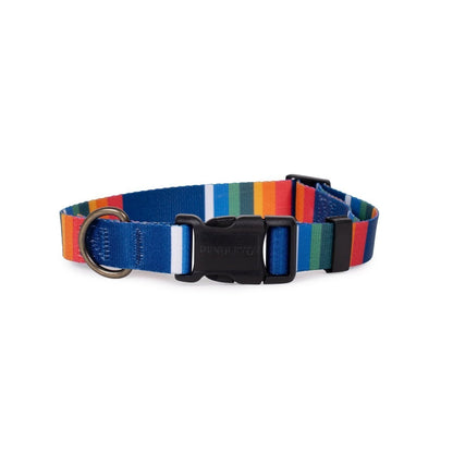Pendleton National Park Adventure Collar | Adjustable Recycled-Webbing Dog Collar (Made in USA)