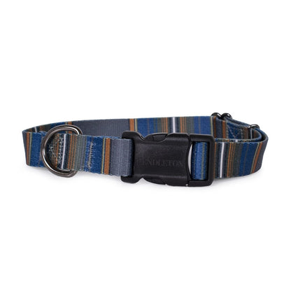Pendleton National Park Adventure Collar | Adjustable Recycled-Webbing Dog Collar (Made in USA)
