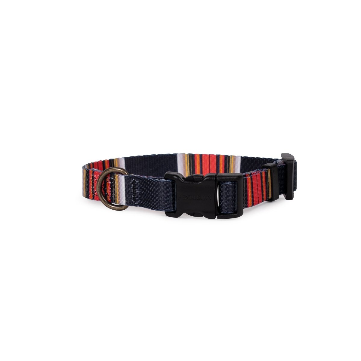 Pendleton National Park Adventure Collar | Adjustable Recycled-Webbing Dog Collar (Made in USA)