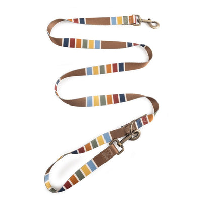 Pendleton National Park Adventure Leash | Recycled Polyester Dual-Snap Lead with D-Ring — Made in USA