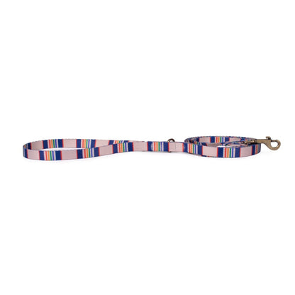 Pendleton National Park Adventure Leash | Recycled Polyester Dual-Snap Lead with D-Ring — Made in USA