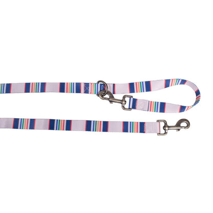 Pendleton National Park Adventure Leash | Recycled Polyester Dual-Snap Lead with D-Ring — Made in USA