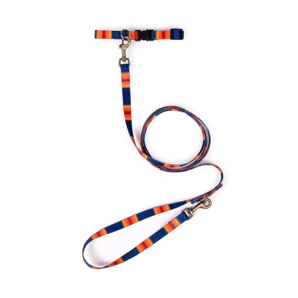 Pendleton National Park Adventure Leash | Recycled Polyester Dual-Snap Lead with D-Ring — Made in USA